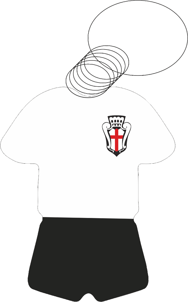 portachiavi a maglia pro vercelli portachiavi a maglia pro vercelli
