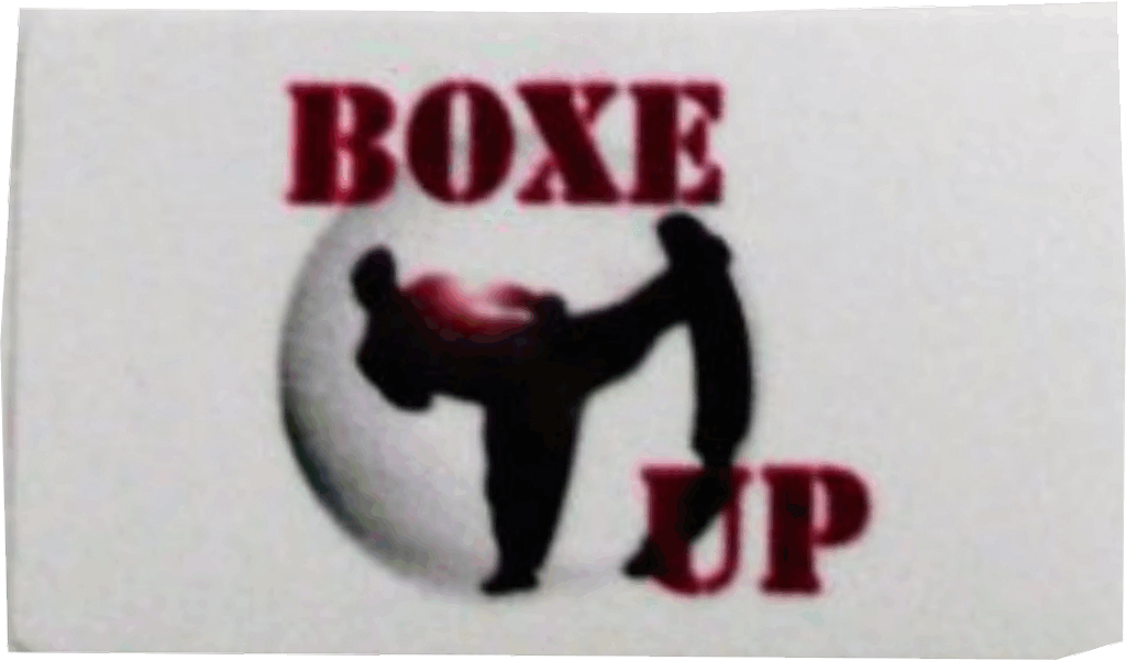 Una fotografia dello scudetto realizzato per BOXE UP Una fotografia dello scudetto realizzato per BOXE UP