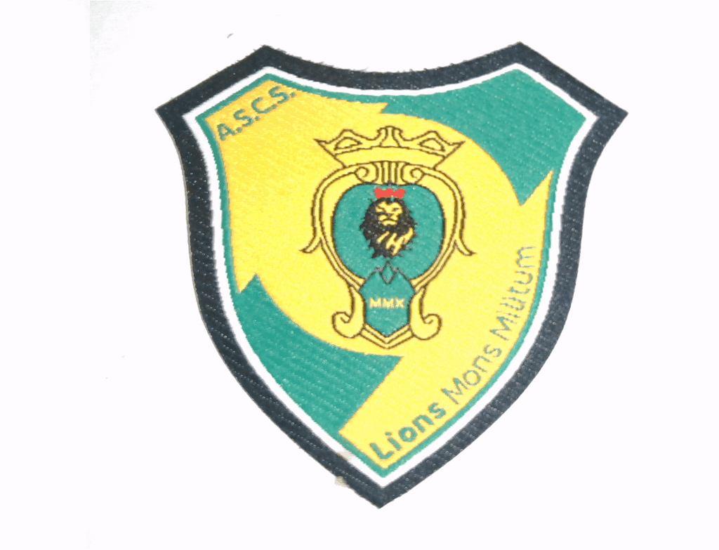 patch lions mons patch lions mons