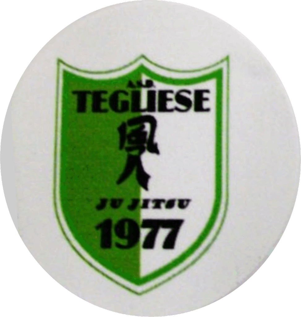 scudetto hd sublimato tegliese scudetto hd sublimato tegliese