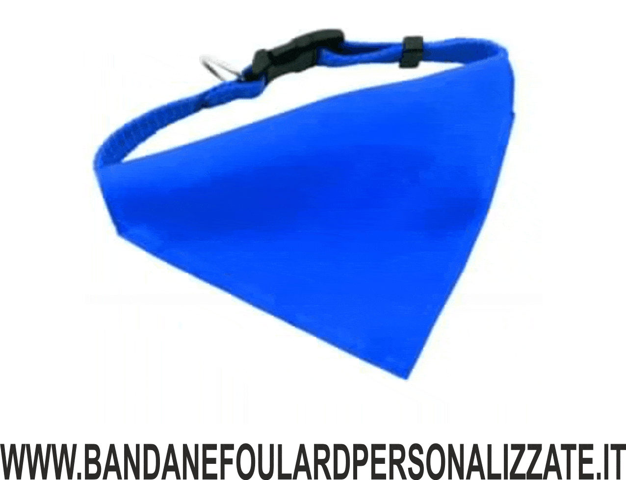 collare blu collare blu