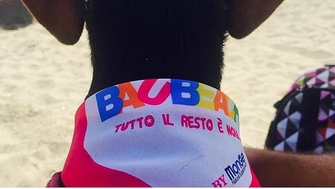 Bandana per Cani Bau Fucsia Personalizzata Bandana per Cani Bau Fucsia
