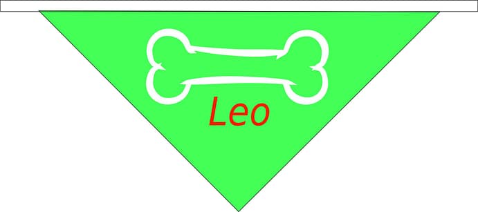 bandana per cani leo Personalizzata bandana per cani leo