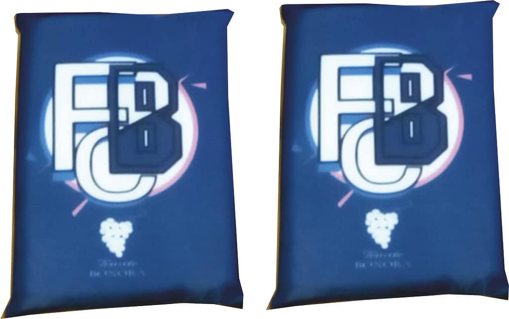 Cuscino da stadio reversibile Barile pesonalizzato Cuscino da stadio reversibile Barile