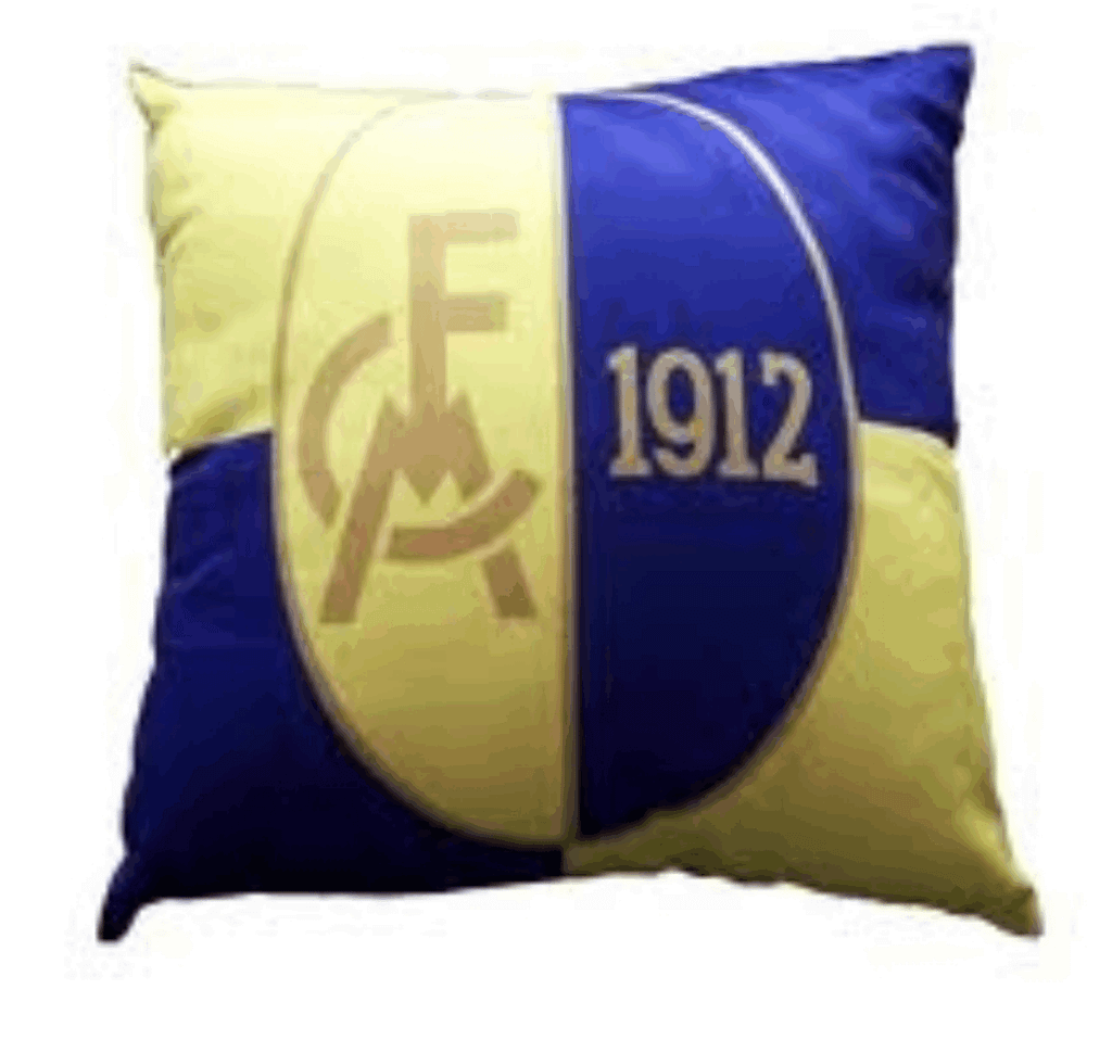 CUSCINI da salotto personalizzati per il Modena Calcio nei colori gialloblù cuscini da salotto personalizzato modena calcio