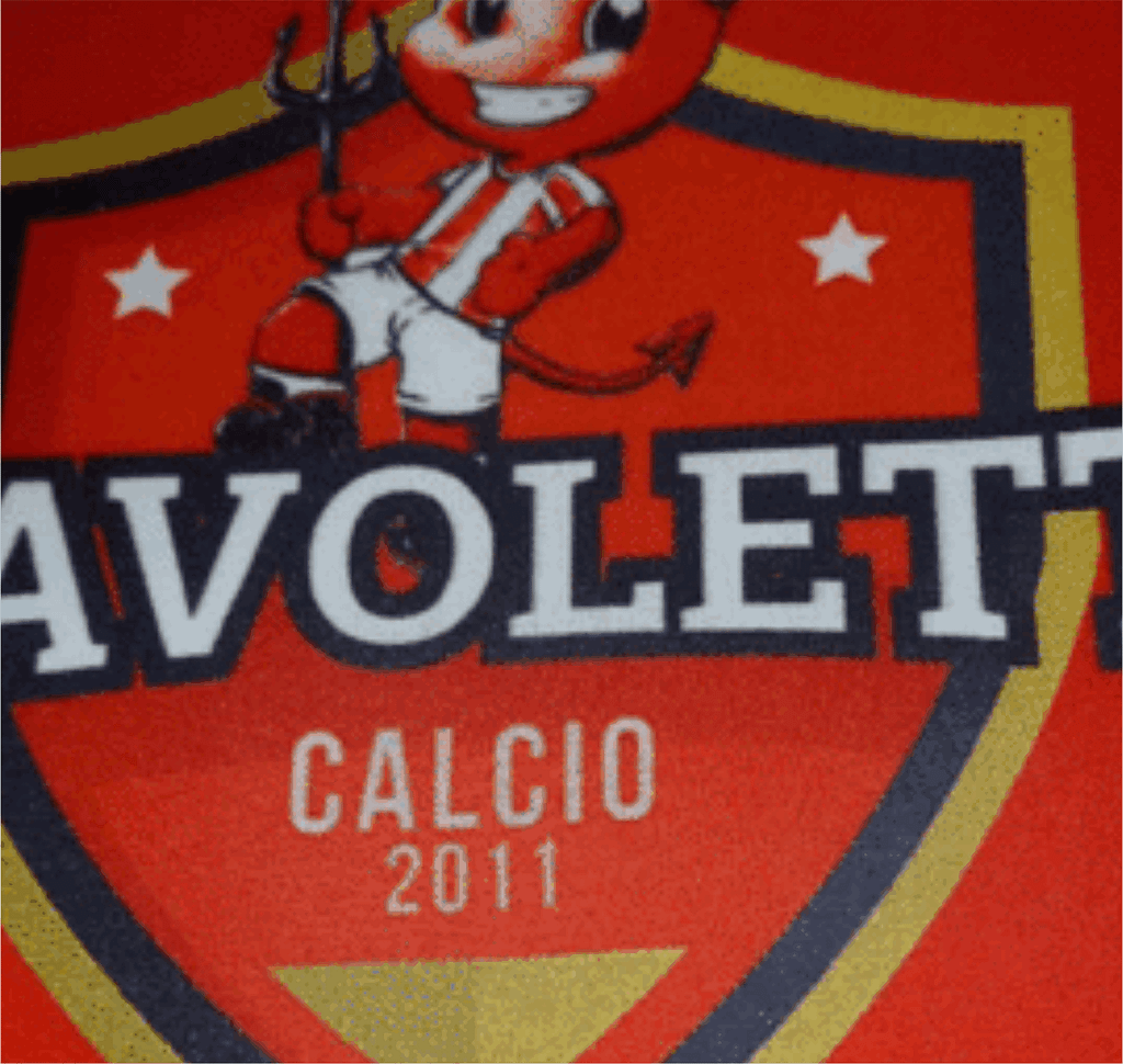 particolare del logo diavoletti realizzato sul cuscino da stadio a libro con elastico particolare del logo diavoletti realizzato sul cuscino da stadio a libro