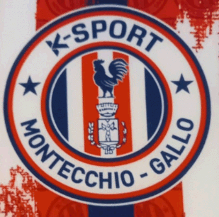 ingrandimento del logo k sport sul cuscino da stadio in piccole quantità ingrandimento del logo k sport sul cuscino da stadio