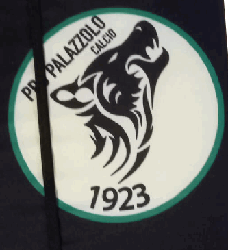 ingrandimento del pro palazzolo riprodotto sul cuscino da stadio a libro con elastico cuscino pro palazzolo