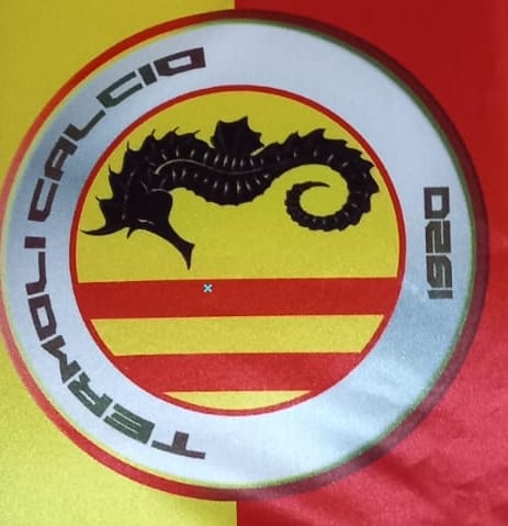 particolare del termoli sul cuscino da stadio a libro con elastico particolare del termoli sul cuscino da stadio a libro