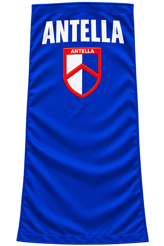 Coprisedile Antella Personalizzato Coprisedile Antella