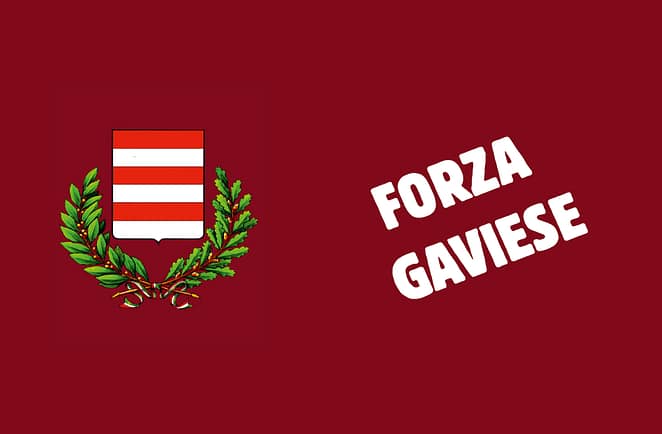 cuscino reversibile forza gaviese personalizzato cuscino reversibile forza gaviese