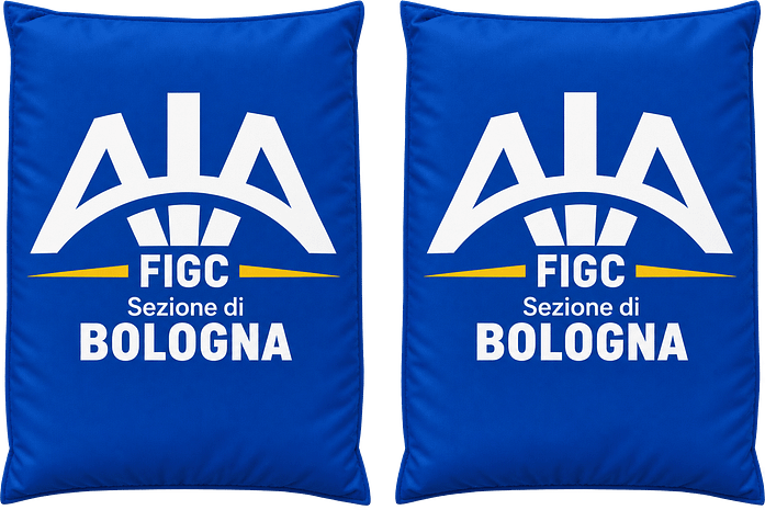Cuscino da Stadio Piccole Quantità AIA Bologna Cuscino da Stadio Piccole Quantità AIA