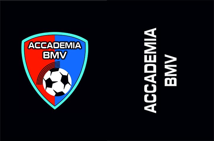 Cuscino ACCADEMIA Bmv personalizzato Cuscino ACCADEMIA Bmv