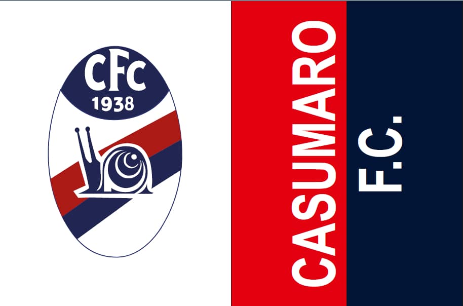 cuscino ignifugo Casumaro calcio cuscino ignifugo Casumaro