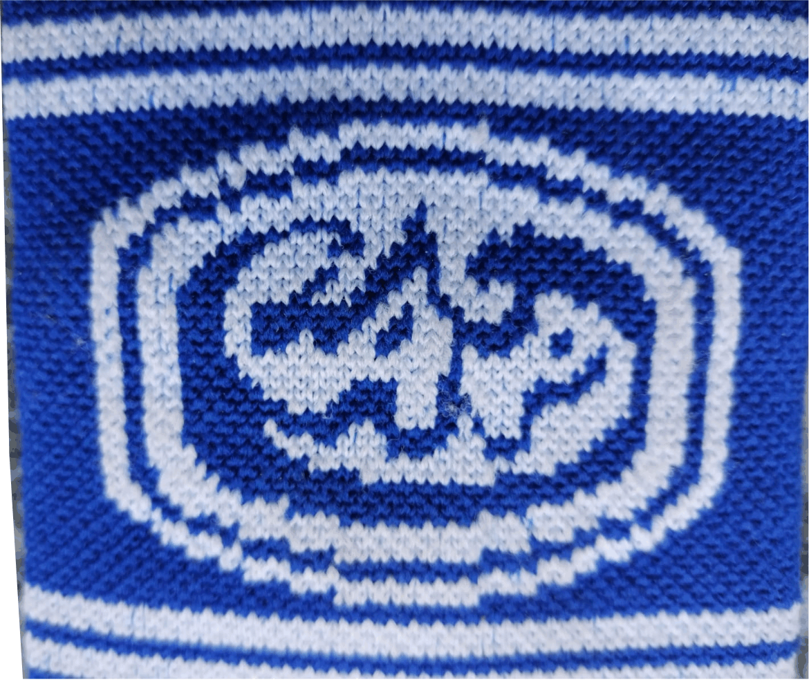 Il particolare del logo Ambri Piotta Il particolare del logo Ambri Piotta