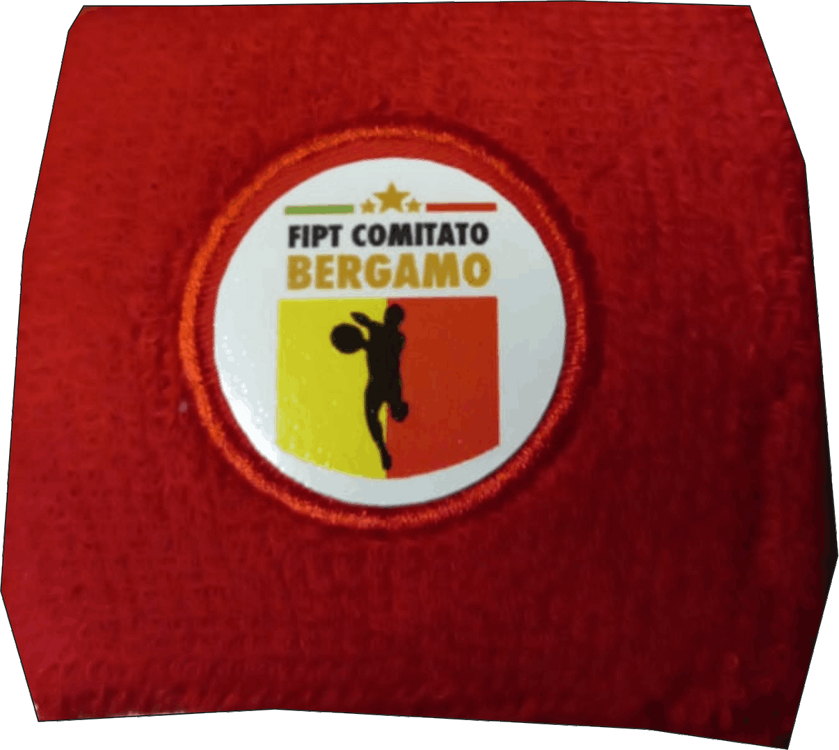 polsini fipt polsini fipt