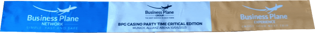 sciarpa business plane sciarpa business plane
