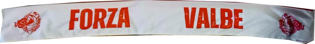 sciarpe raso personalizzate forza valbe sciarpe raso personalizzate valbe