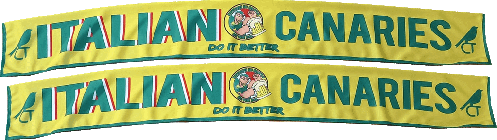 sciarpa italian canaries sciarpa italian canaries