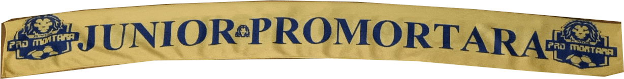 sciarpa economica personalizzata junior pro mortara in digitale sciarpa economica personalizzata junior pro mortara