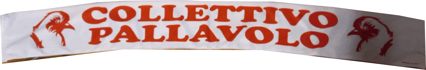 sciarpe raso personalizzate collettivo pallavolo sciarpe raso personalizzate collettivo