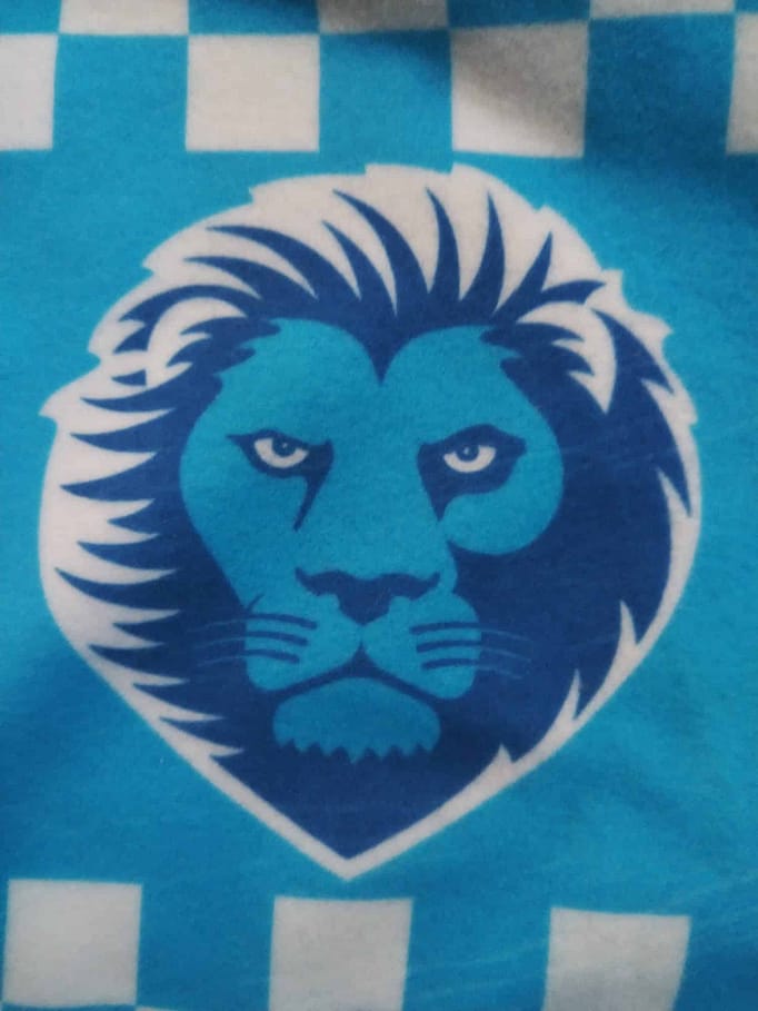 dettaglio con leone sciarpa stampata personalizzata Alessano dettaglio sciarpa stampata Alessano