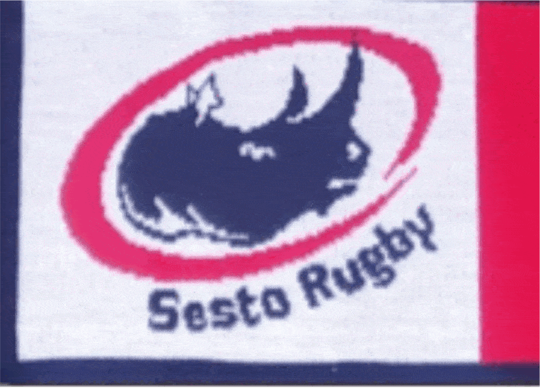 particolare sesto rugby particolare sesto rugby