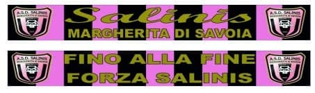 sciarpe in raso doppio salinis sciarpe in raso doppio salinis