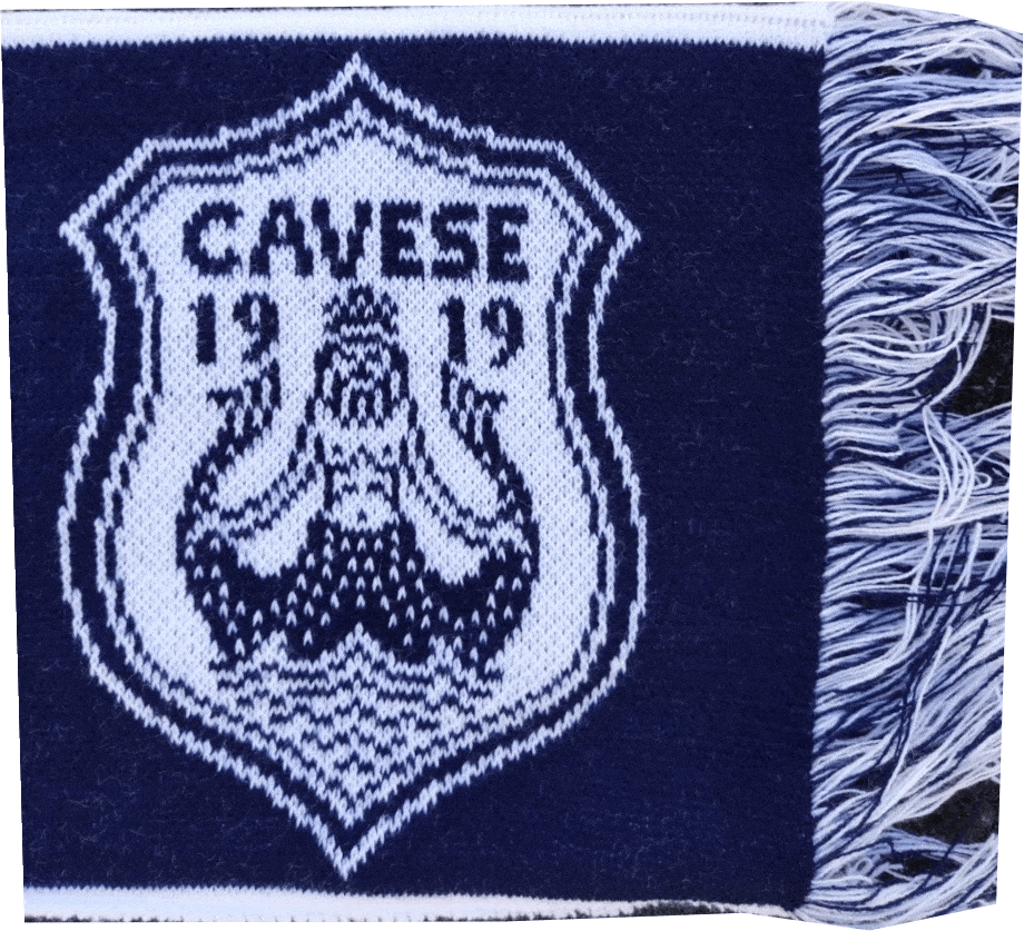 particolore logo cavese particolore logo cavese