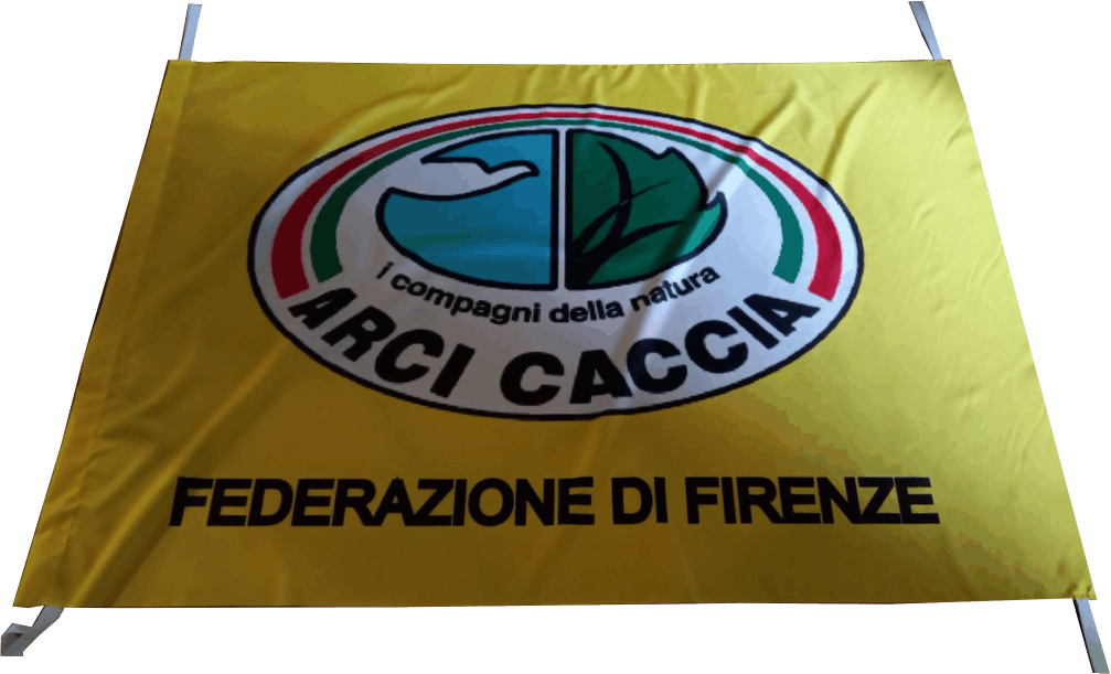 bandiera arcicaccia