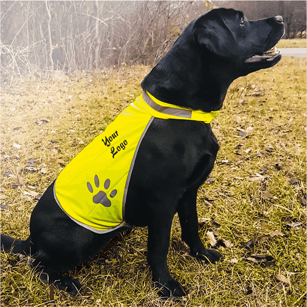 pettorine cani personalizzate pettorine cani personalizzate