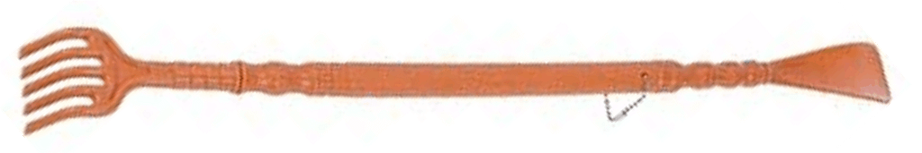 calzascarpe con grattaschiena calzascarpe con grattaschiena