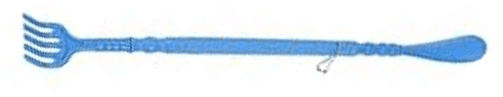 calzascarpe grattaschiena azzurro calzascarpe grattaschiena azzurro