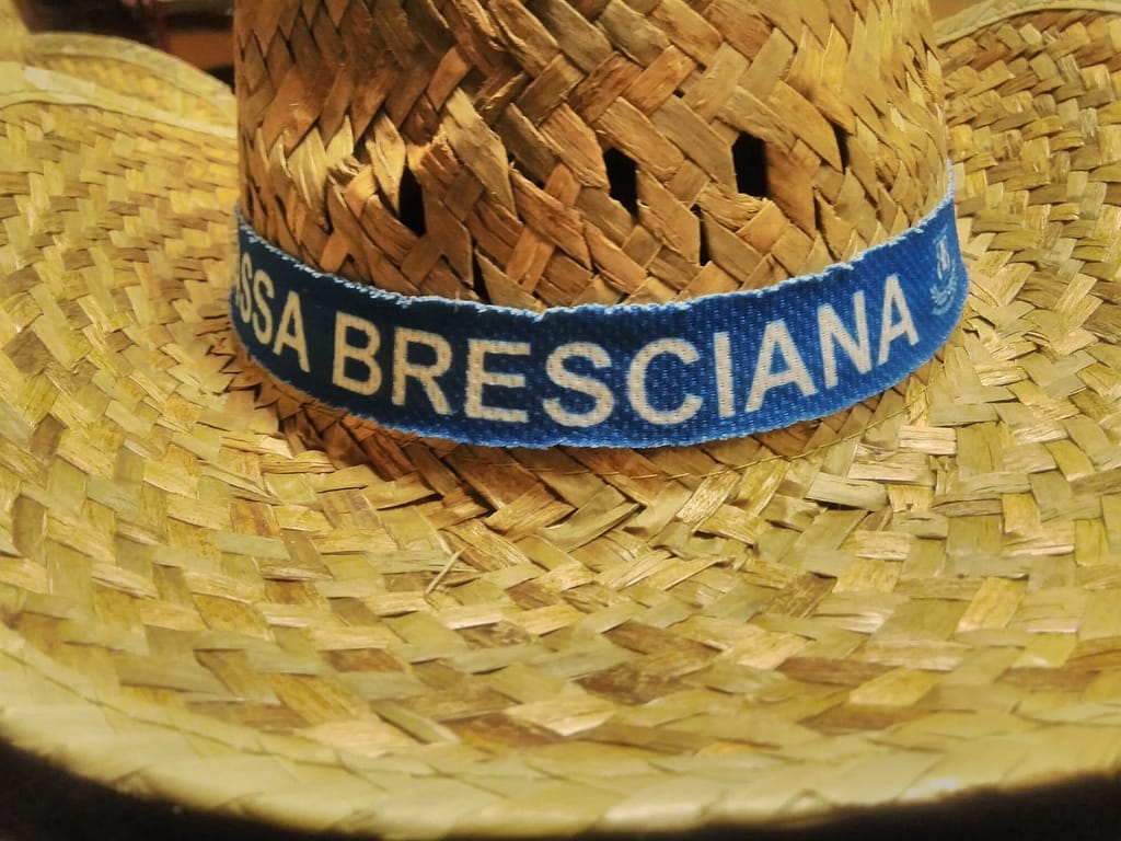 cappello in paglia a falda larga cappello in paglia a falda larga