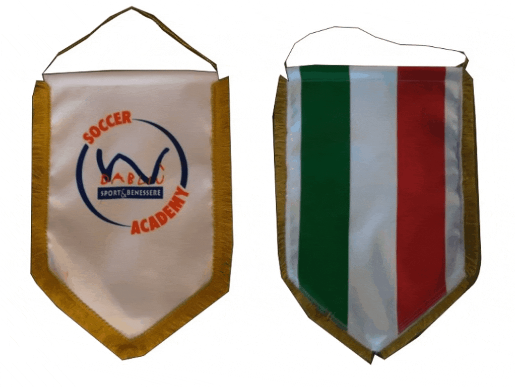 gagliardetto Soccer Academy gagliardetto Soccer Academy