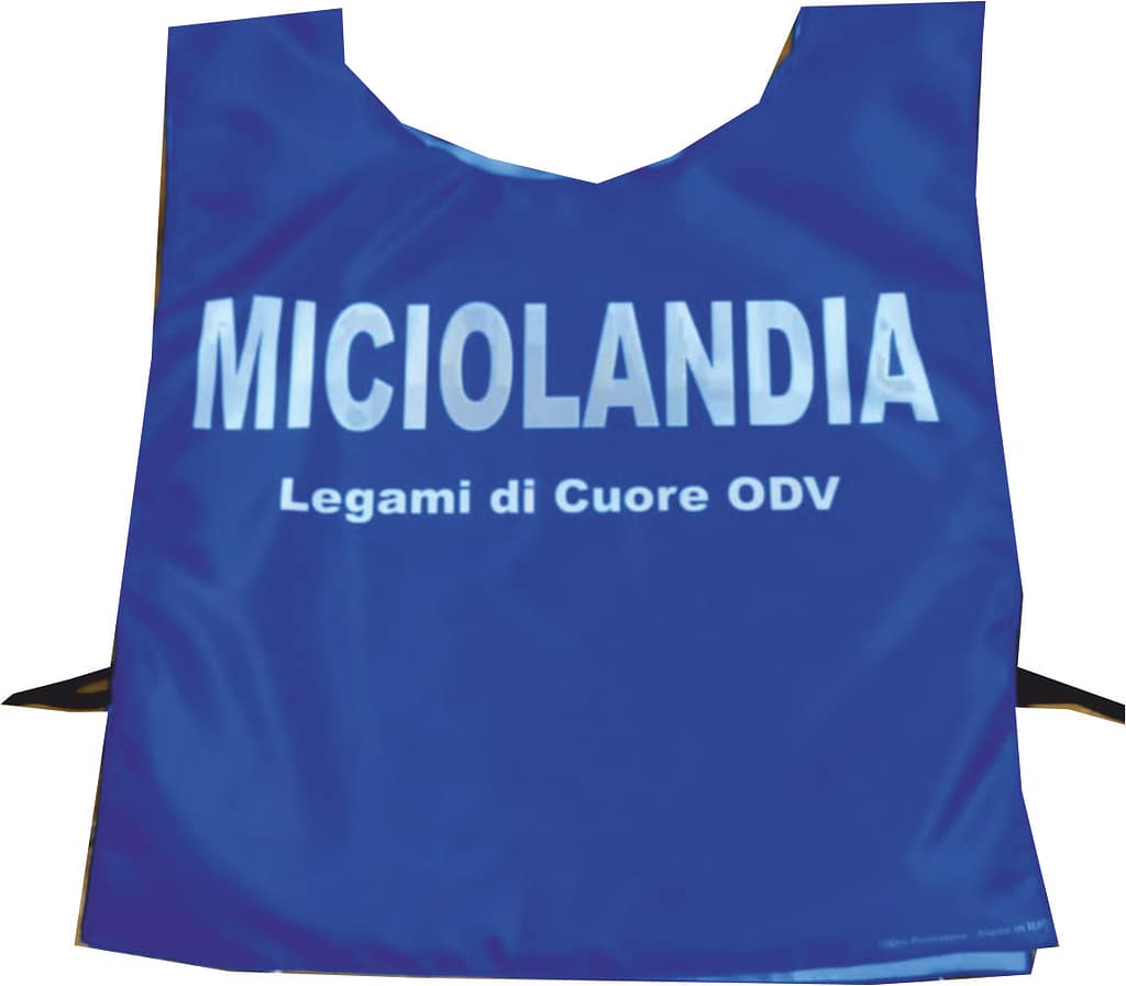 pettorina miciolandia pettorina miciolandia