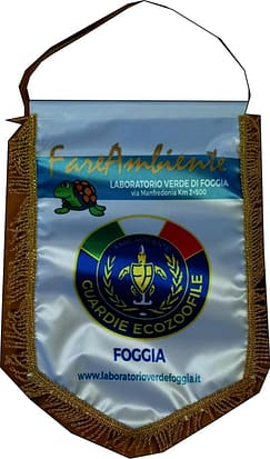 Vintage Soccer Pennant Football Flag gagliardetto Vintage da Collezione