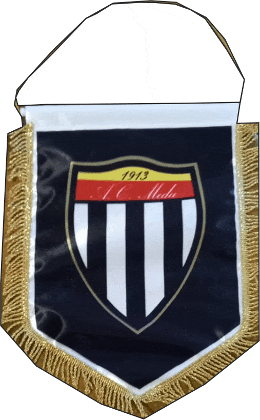 gagliardetto standard piccolo personalizzato meda gagliardetto standard piccolo meda
