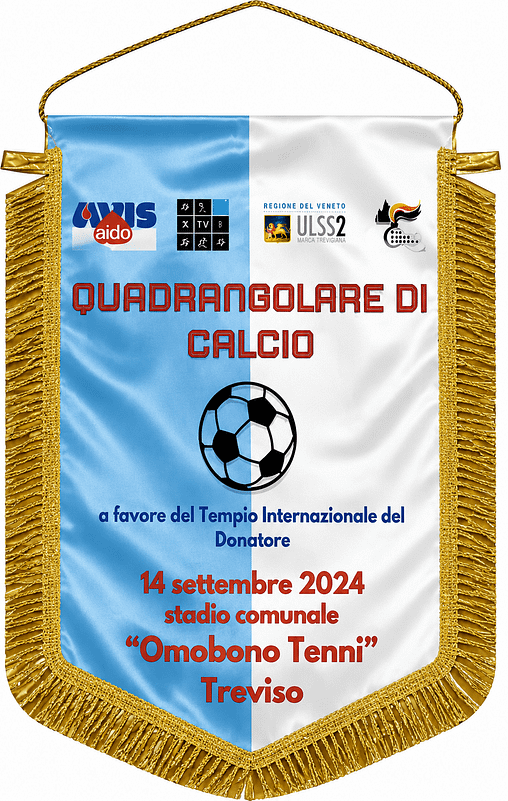gagliardetto standard auto quadrangolare Avis Personalizzato gagliardetto standard auto quadrangolare Avis
