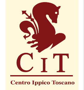 bandiera centro ippico toscano bandiera centro ippico toscano