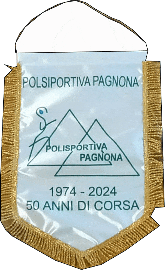 gagliardetti personalizzati in piccole quantità polisportiva pagnona gagliardetti piccole quantità polisportiva pagnona
