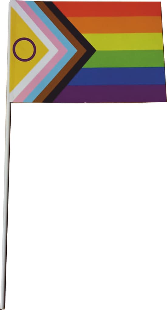 bandierina eco compatibile LGBTQ+ personalizzata bandierina eco compatibile LGBTQ+