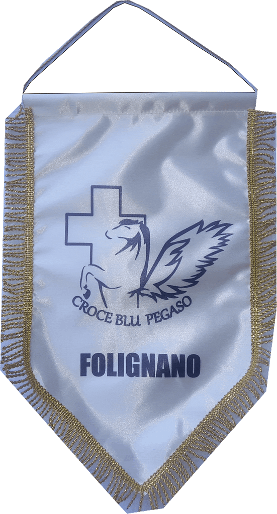 gagliardetto pegaso gagliardetto pegaso