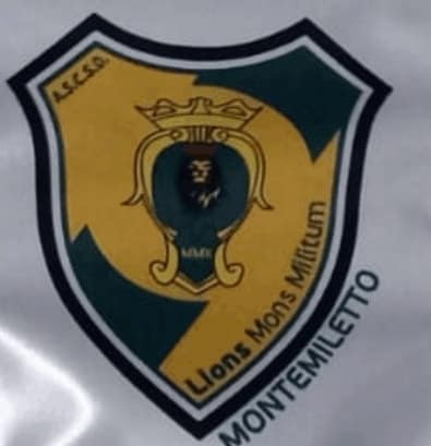 logo lions logo lions