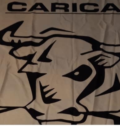 particolare carica particolare carica