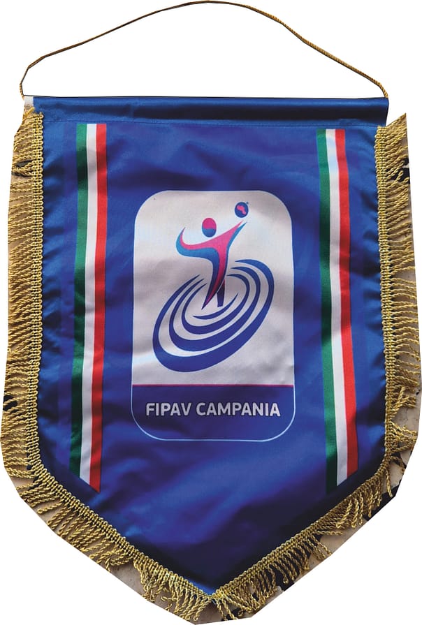gagliardetto standard fipav personalizzato gagliardetto standard fipav