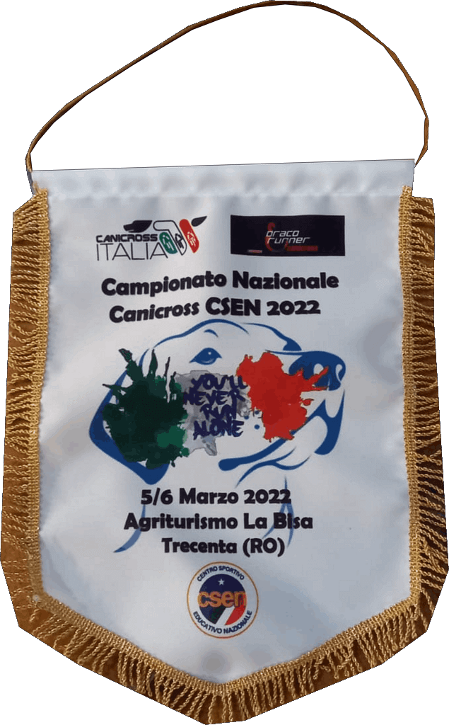 gagliardetto Csen gagliardetto Csen