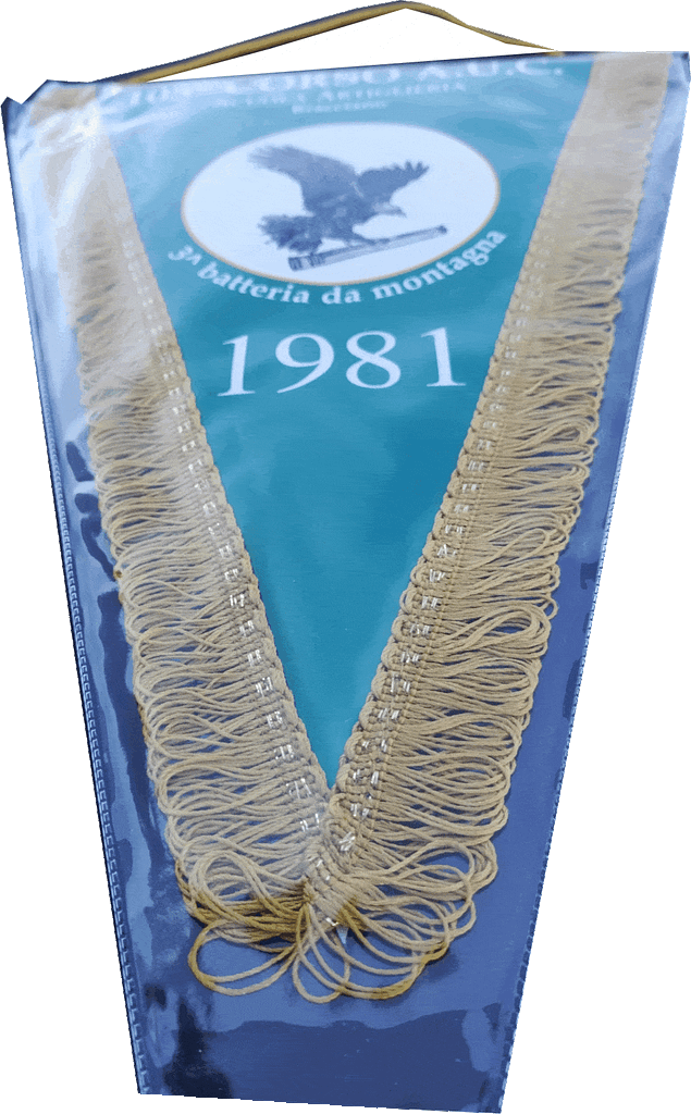 prospettiva GAGLIARDETTI Gold medi personalizzati aduc prospettiva GAGLIARDETTI Gold medi aduc