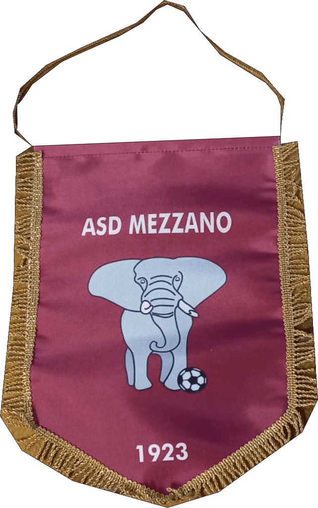 GAGLIARDETTI economici MONOFACCIALI personalizzati mezzano GAGLIARDETTI economici MONOFACCIALI mezzano