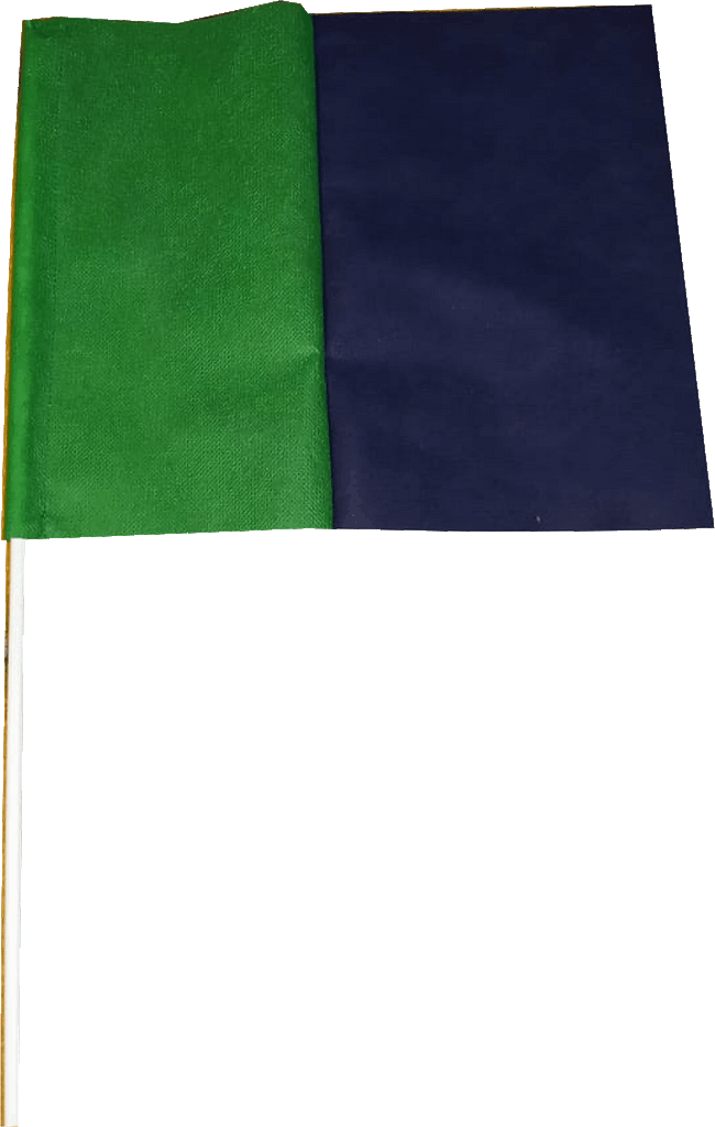 bandierina per coreografie stadio Verde Blu bicolore bandierina per coreografie stadio Verde Blu